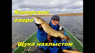 Щука нахлыстом.Канерское озеро. 19/11/2018