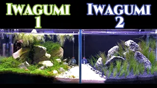 Mirrored Aquariums | Create a Minimal Transition Between Tanks