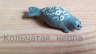 Лепим кольчатую нерпу (такой тюлень)