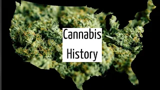 The Long, Complicated History of Marijuana | Discover Marijuana