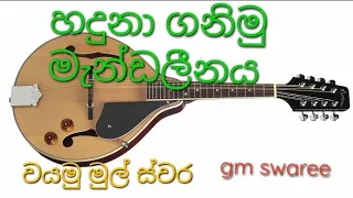 Mandolin play for beginiers .මැන්ඩලීනය හදුනා ගනිමු