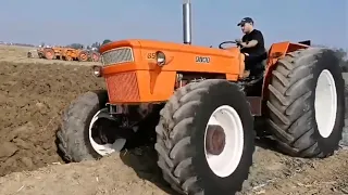 Ploughing competition in Italy | Fiat 850 | Fiat 1000 dt | Fiat 1300 dt