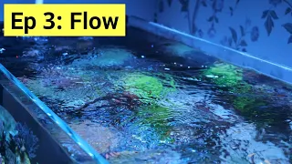 Reef Tank Basics Episode 3: Flow In a Saltwater Aquarium