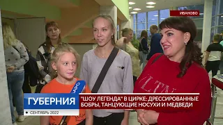 «Шоу Легенда» в цирке: дрессированные бобры, танцующие носухи и медведи