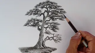 Chinese tree drawing by pencil with the easy ways// Pencil sketch tree landscape//