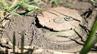 Житомирські вибухотехніки поліції розміновують деокуповану частину Харківщини