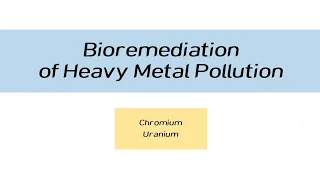 Bioremediation of Heavy Metals in Hindi