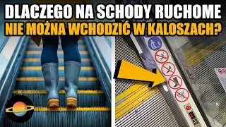 10 rzeczy, o których zastosowaniu nie miałeś pojęcia, cz. 8