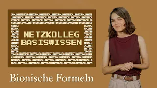 Netzkolleg Basiswissen – Bionische Formeln (Grundlagen der Strukturmathematik)