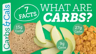 CARBS: What are they? Why do we need them? 7 must-know facts