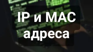 IP и MAC адреса и их отличия