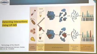 13. Limited proteolysis mass spectrometry (LiP-MS) by Eduardo Ceccarelli