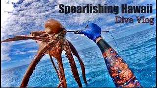 Hawaii Spearfishing Vlog /Tako Catch / Camping / Catch and Cook