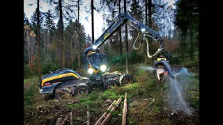 🌲4K| Ponsse ScorpionKing & Vorfäller • Big trees vs. Harvester • Forestwork • Ponsse Logging🌲