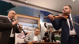 Farkas Dezső es Cigany Zenekara. Hungary  Gipsy  Music,  Anna Hotel Budapest🇭🇺