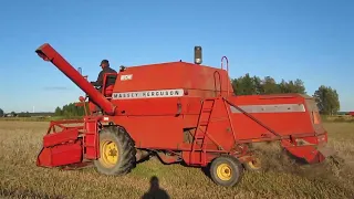 Massey Ferguson 206 / Puintia.