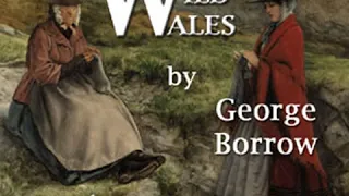 Wild Wales by George BORROW read by Steve Gough Part 2/4 | Full Audio Book