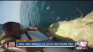 St. Petersburg man catches 400-pound fish with wrench
