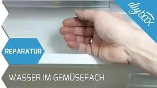 Kühlschrank - Wasser unter dem Gemüsefach