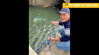 9 коротких сюжетов: необычная рыбалка во Вьетнаме