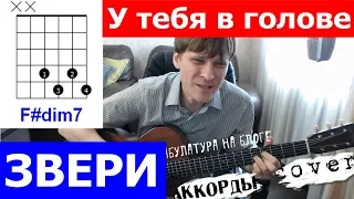 Звери - У тебя в голове аккорды 🎸 кавер табы как играть на гитаре | pro-gitaru.ru