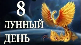 8 ЛУННЫЙ ДЕНЬ. ХАРАКТЕРИСТИКА