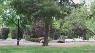 City of Sacramento's efforts underway for an urban forest