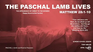 SUNDAY SCHOOL LESSON,  APRIL 17, 2022, The Paschal Lamb Lives, MATTHEW 28: 1-10