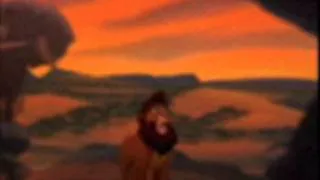 I hate everything about you [Simba&&Kovu]