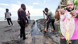 merging the river with the sea and this happen scary 😨 big monster 🐊