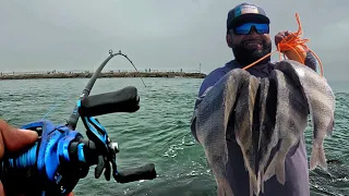 Jetty Sheepshead Fishing! (Catch and Cook) Packery Channel