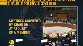 What is the 1267 committee of the UNSC?