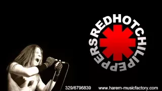 China White - Red Hot Chili Peppers tribute - Promo