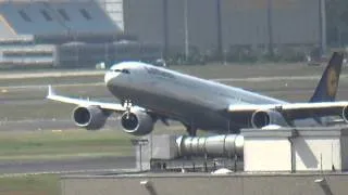 Very Heavy! Lufthansa Airbus A340-600 Takeoff at FRA / EDDF