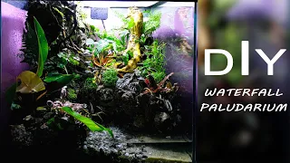 DIY Waterfall Paludarium | Tropical Water Stream | Terrascaping