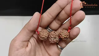 3 + 5 + 7 Mukhi Nepal Rudraksha Combination | MARATHI | 9987835118