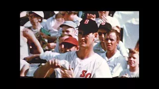 HBO: Legends and Legacies: Ted Williams