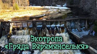 Экотропа «Гряда Вярямянселькя», 17.04.21. Маршрут 11 км с финской ГЭС и дамбой