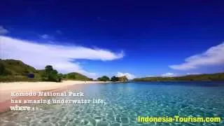 Komodo National Park East Nusa Tenggara Indonesia