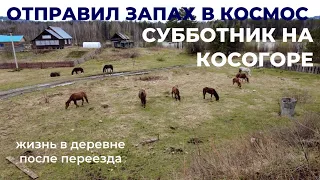 Отправил запах в космос! Субботник на косогоре. Жизнь в деревне после переезда.