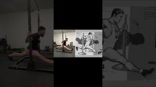 Sliver Era Flexibility for Weightlifting