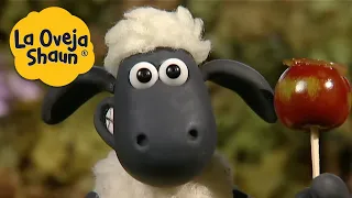 La Oveja Shaun 🐑 Manzana caramelizada 🐑 Dibujos animados para niños