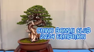 Chino Bonsai Club Exhibit 2024