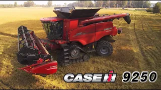 Case IH 9250 AFS mietitura riso / rice harvest 2022 -Società Agricola Cardazzi-