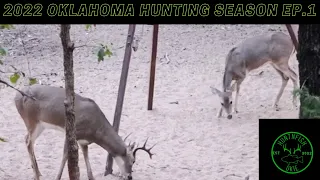 Oklahoma Archery Season Opener | 2022 Deer Season Episode 1
