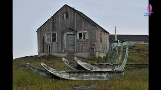 20180815 格陵蘭島 ~ Dog's Island