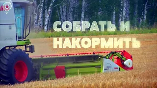 СОБРАТЬ И НАКОРМИТЬ | документальный фильм о сельском хозяйстве