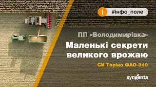 ПП «Володимирівка». Маленькі секрети великого врожаю. СИ Торіно ФАО 310