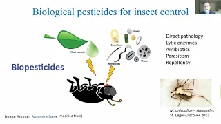 Fungal Pesticides (MAWDC 3/2/21)