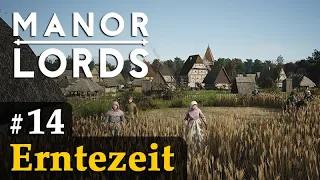 #14: Erntezeit ✦ Let's Play Manor Lords (Preview / Gameplay / Early Access)